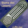  ein stein design